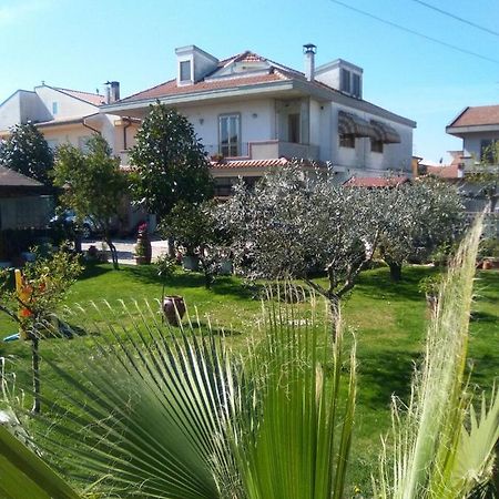 Le Magnolie B&B Roseto Degli Abruzzi Exteriör bild